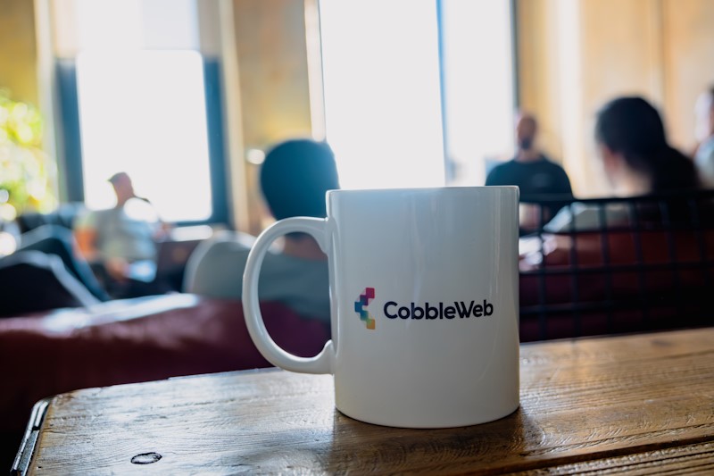 CobbleWeb Big Picture: Company Review and Vision 2025